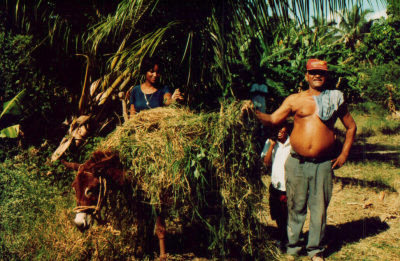 Campesino in Azua