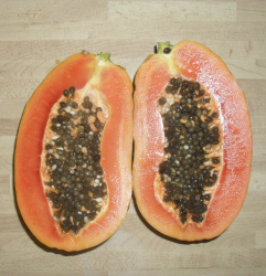 Lechoza (Papaya)
